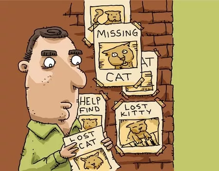 Katze oder Kater vermisst? Mit diesen Tipps finden Ihre entlaufene Katze wieder. Foto: blamb / 123RF 