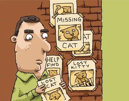 Katze oder Kater vermisst? Mit diesen Tipps finden Ihre entlaufene Katze wieder. Foto: blamb / 123RF