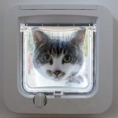 Einfache Katzenklappe - Das Tor zu großen Freiheit