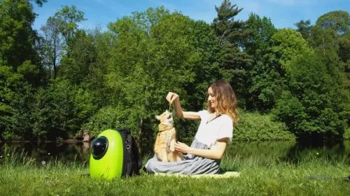 Katze im Rucksack transportieren