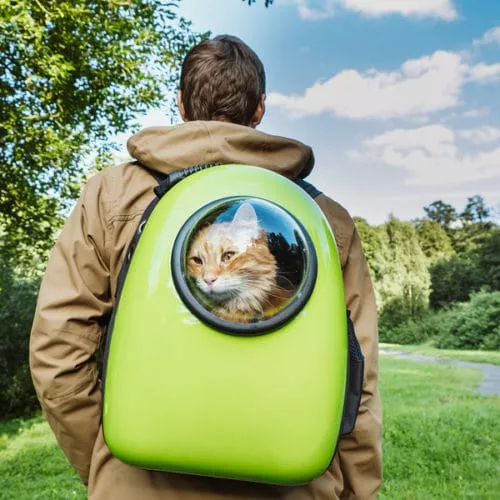 Katzenrucksack