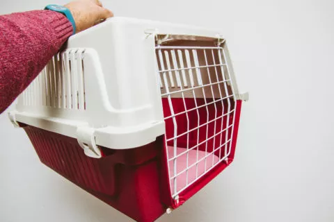 Transportbox für Katzen aus Kunststoff