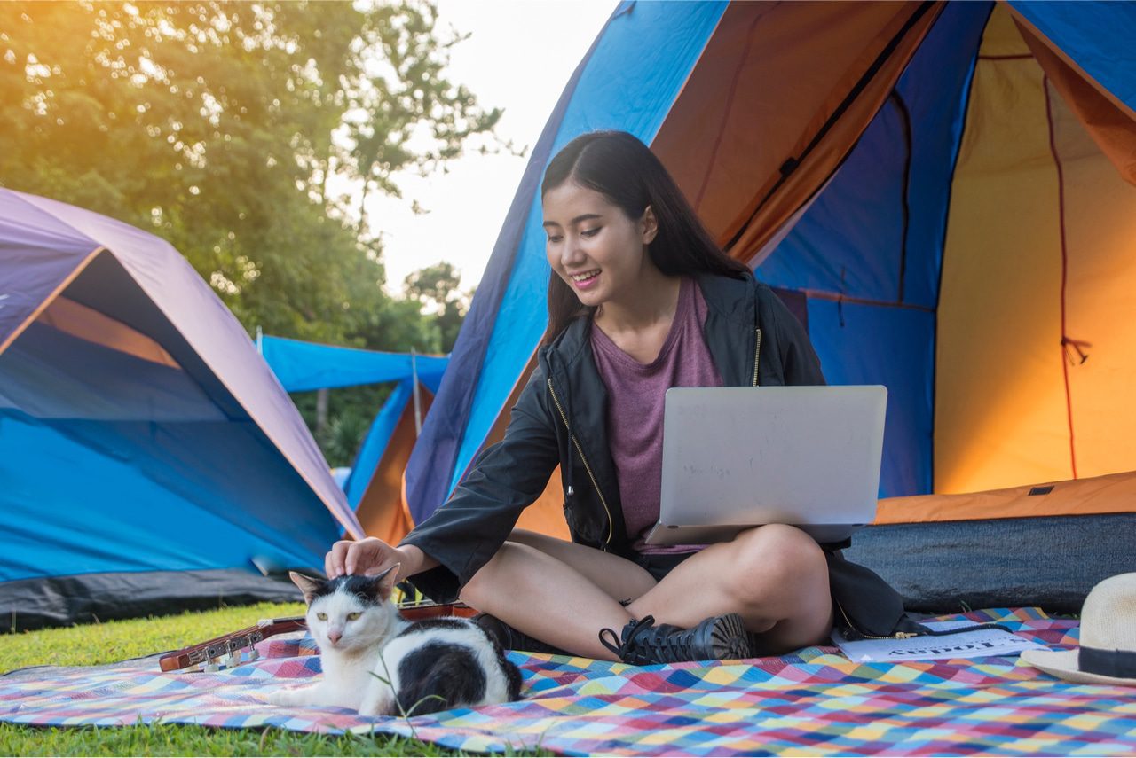 Katze Campingurlaub