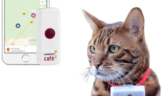 Weenect Cats 2 – Katzenortung per GPS Tracker