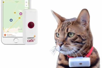 Weenect Cats 2 – Katzenortung per GPS Tracker