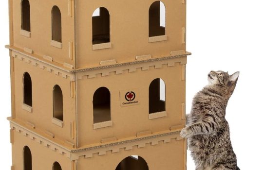 Katzenhäuser aus Pappe