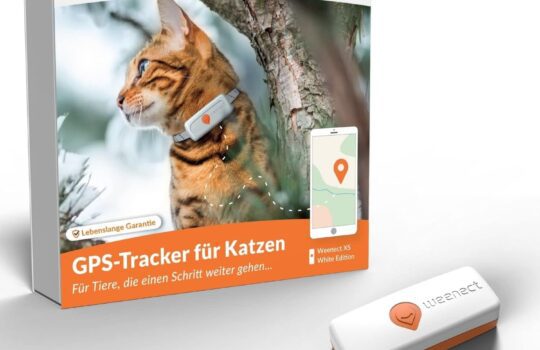 Mit Katze in den Urlaub: Sorgenfrei reisen mit GPS Tracker