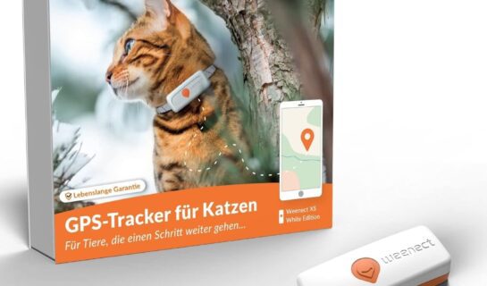 Mit Katze in den Urlaub: Sorgenfrei reisen mit GPS Tracker